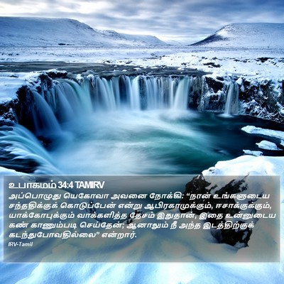 உபாகமம் 34:4 TAMIRV Bible Verse Image