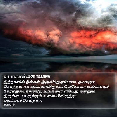 உபாகமம் 4:20 TAMIRV Bible Verse Image