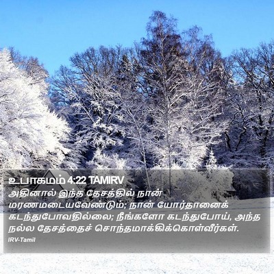 உபாகமம் 4:22 TAMIRV Bible Verse Image