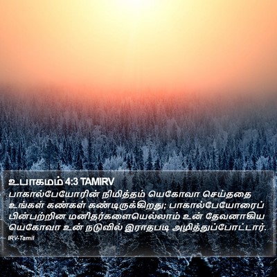 உபாகமம் 4:3 TAMIRV Bible Verse Image