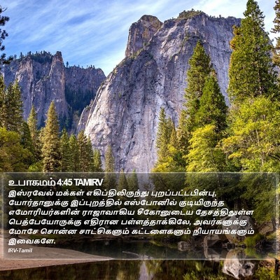 உபாகமம் 4:45 TAMIRV Bible Verse Image