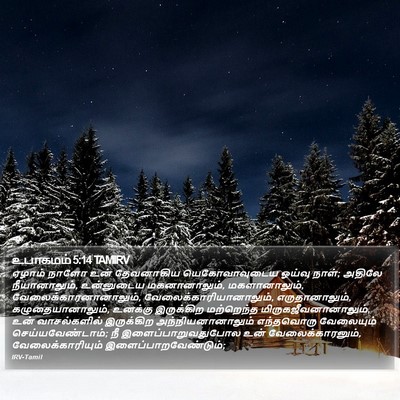 உபாகமம் 5:14 TAMIRV Bible Verse Image
