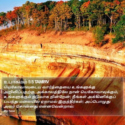 உபாகமம் 5:5 TAMIRV Bible Verse Image