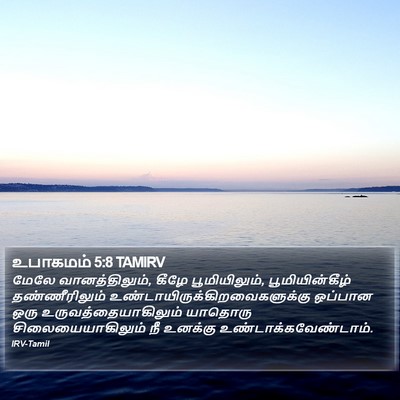 உபாகமம் 5:8 TAMIRV Bible Verse Image