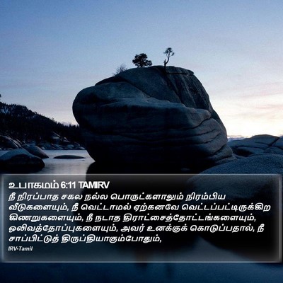 உபாகமம் 6:11 TAMIRV Bible Verse Image