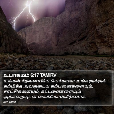 உபாகமம் 6:17 TAMIRV Bible Verse Image
