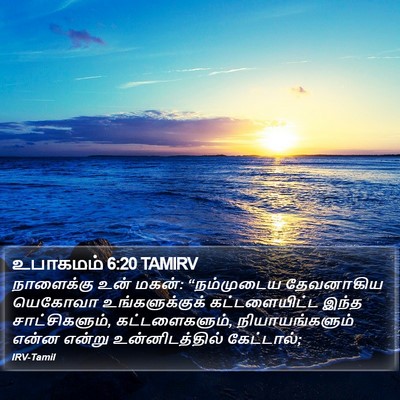 உபாகமம் 6:20 TAMIRV Bible Verse Image