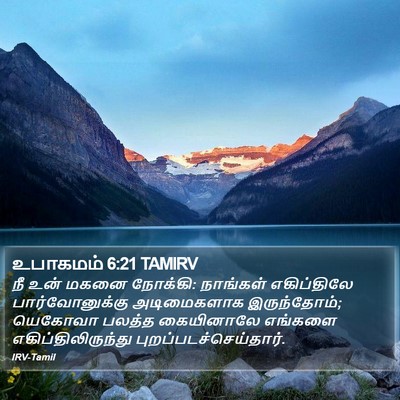 உபாகமம் 6:21 TAMIRV Bible Verse Image