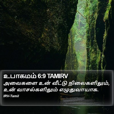 உபாகமம் 6:9 TAMIRV Bible Verse Image