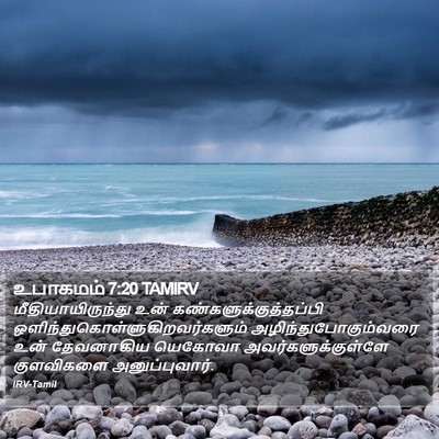 உபாகமம் 7:20 TAMIRV Bible Verse Image