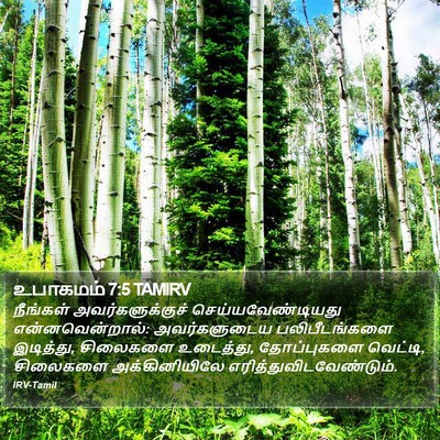 உபாகமம் 7:5 TAMIRV Bible Verse Image