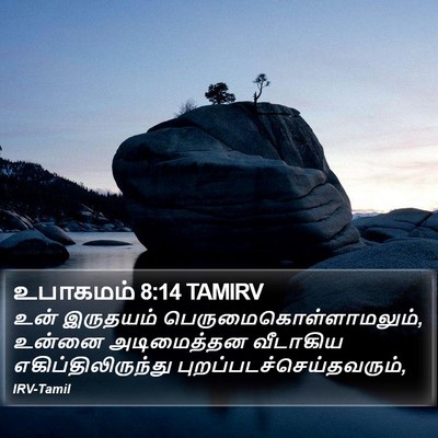 உபாகமம் 8:14 TAMIRV Bible Verse Image