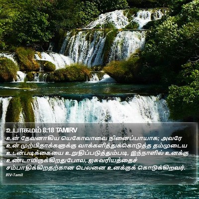 உபாகமம் 8:18 TAMIRV Bible Verse Image