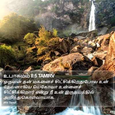 உபாகமம் 8:5 TAMIRV Bible Verse Image