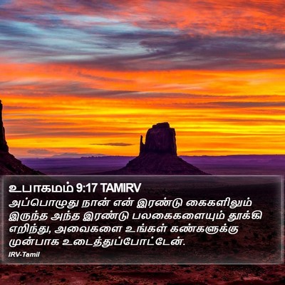 உபாகமம் 9:17 TAMIRV Bible Verse Image