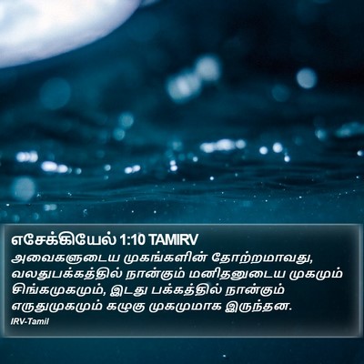 எசேக்கியேல் 1:10 TAMIRV Bible Verse Image
