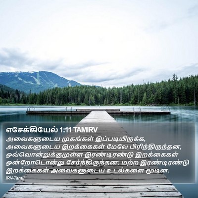 எசேக்கியேல் 1:11 TAMIRV Bible Verse Image