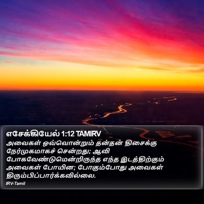 எசேக்கியேல் 1:12 TAMIRV Bible Verse Image