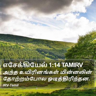 எசேக்கியேல் 1:14 TAMIRV Bible Verse Image