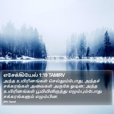 எசேக்கியேல் 1:19 TAMIRV Bible Verse Image