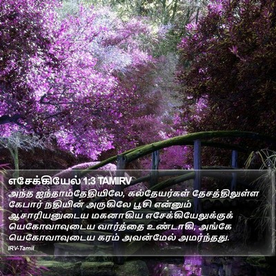 எசேக்கியேல் 1:3 TAMIRV Bible Verse Image