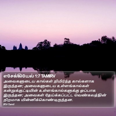 எசேக்கியேல் 1:7 TAMIRV Bible Verse Image