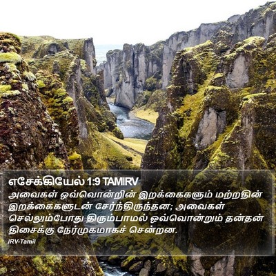 எசேக்கியேல் 1:9 TAMIRV Bible Verse Image