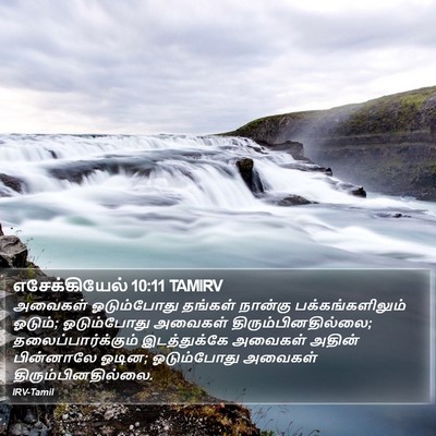 எசேக்கியேல் 10:11 TAMIRV Bible Verse Image
