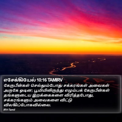 எசேக்கியேல் 10:16 TAMIRV Bible Verse Image