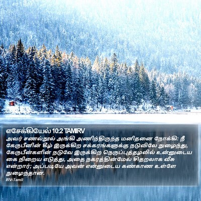 எசேக்கியேல் 10:2 TAMIRV Bible Verse Image