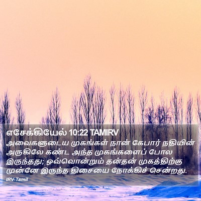 எசேக்கியேல் 10:22 TAMIRV Bible Verse Image