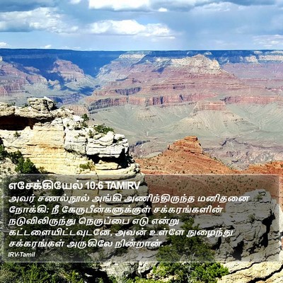 எசேக்கியேல் 10:6 TAMIRV Bible Verse Image