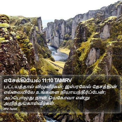எசேக்கியேல் 11:10 TAMIRV Bible Verse Image