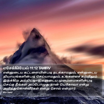 எசேக்கியேல் 11:12 TAMIRV Bible Verse Image