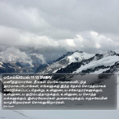 எசேக்கியேல் 11:15 TAMIRV Bible Verse Image