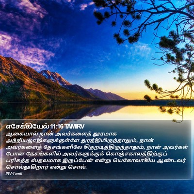 எசேக்கியேல் 11:16 TAMIRV Bible Verse Image