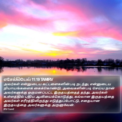 எசேக்கியேல் 11:19 TAMIRV Bible Verse Image