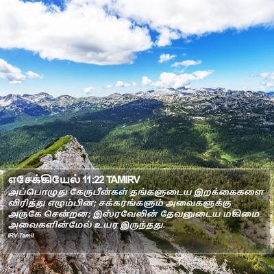 எசேக்கியேல் 11:22 TAMIRV Bible Verse Image