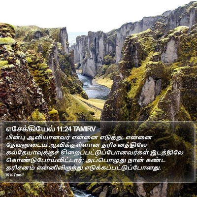 எசேக்கியேல் 11:24 TAMIRV Bible Verse Image