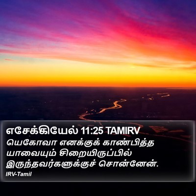 எசேக்கியேல் 11:25 TAMIRV Bible Verse Image