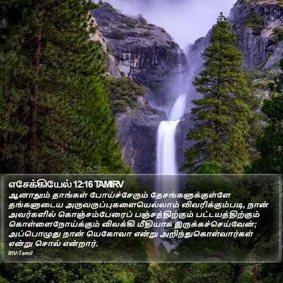 எசேக்கியேல் 12:16 TAMIRV Bible Verse Image