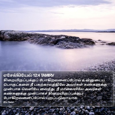 எசேக்கியேல் 12:4 TAMIRV Bible Verse Image
