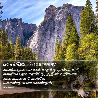 எசேக்கியேல் 12:5 TAMIRV Bible Verse Image