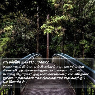 எசேக்கியேல் 13:10 TAMIRV Bible Verse Image