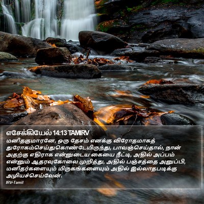எசேக்கியேல் 14:13 TAMIRV Bible Verse Image