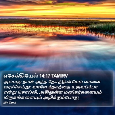 எசேக்கியேல் 14:17 TAMIRV Bible Verse Image
