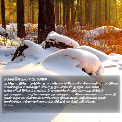 எசேக்கியேல் 14:22 TAMIRV Bible Verse Image