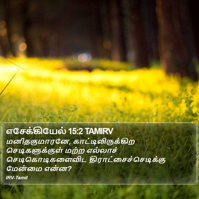 எசேக்கியேல் 15:2 TAMIRV Bible Verse Image