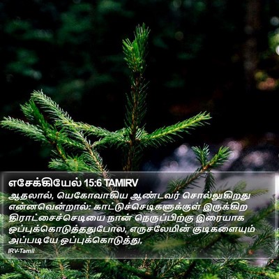 எசேக்கியேல் 15:6 TAMIRV Bible Verse Image