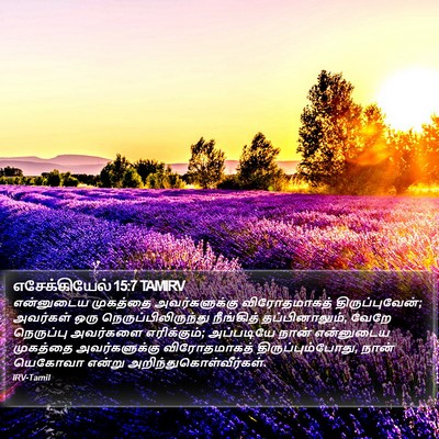 எசேக்கியேல் 15:7 TAMIRV Bible Verse Image